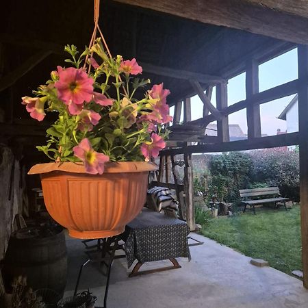 A La Forge Apartment Sermersheim Екстериор снимка